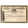 Image 1 : Early Penobscot & Snowdrift Consolidated Mining Company Stock, Marysville, Montana  [123880]