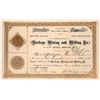 Image 1 : Buckeye Mining & Milling Company Stock Certificate  [129598]