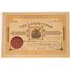 Image 1 : Yellowstone Mining Company Stock Certificate  [129609]