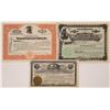 Image 1 : Nevada Mining Stocks, All Certificates #1  [129855]