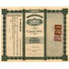 Image 2 : Potomac Oil Company Stock, Kern River Producer, 1901  [128667]
