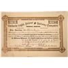 Image 1 : Gallatin Light, Power & Railway Company of Bozeman Montana Stock certificate # 2 signed by WH Clark.