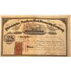 Image 1 : Philadelphia Southern Mail Steamship Co. Stock, 1867  [131084]