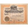 Image 1 : Yellowstone Packing Company, Billing, Montana, 1919  [123948]