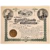 Image 1 : The Brown Electrical Automatic Appliance Stock Certificate  [127742]