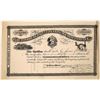 Image 1 : The Woodbury Patent Planing Machine Company Stock Certificate  [127409]