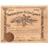 Image 1 : South Carolina Interstate & West Indian Exposition Co. Stock  [128826]
