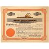 Image 1 : Insectacide Company Stock Certificate  [127410]