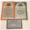 Image 1 : Silk Stocking Stock/Bonds  [122429]