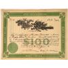 Image 1 : Kentucky Electric Safety Company Stock Certificate  [127837]