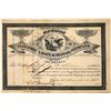 Image 1 : Nebraska Light & Motor Company Stock Certificate  [127836]