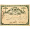 Image 1 : Baxter Electric Light Company Stock Certificate  [127839]