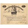 Image 1 : Yellowstone National Park Transportation Company Stock signed by Child with Old Faithful Pictorial  