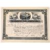 Image 1 : Yellowstone Park Association Stock, 1890  [130004]