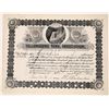 Image 1 : Yellowstone Park Association Stock issued to HW Child and signed by president HW Child  [130003]