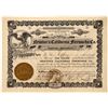 Image 1 : California Fireworks Company Stock certificate  [127400]