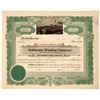 Image 1 : California Whaling Company Unissued Stock Certificate (1)  [127740]