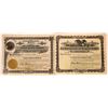 Image 1 : Chinook, Montana Stock Certificate Pair  [127574]