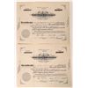 Image 1 : Carbon-Emery Stores Company Stock Certificates  [128454]