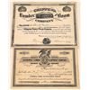 Image 1 : Lumber Company Stock Certificates  [128303]