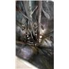 Image 8 : METAL UMBRELLA STAND, WINE RACK AND GARDEN STAKES