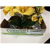 Image 2 : LOT OF ARTIFICIAL ORCHIDS