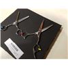 Image 2 : BARBER'S HAIRDRESSERS SCISSORS