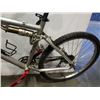 Image 2 : SILVER PANORAMA BIKE