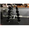 Image 2 : RACK OF BAR BELLS 20LB - 110LB  TOTAL 650LB.  INCLUDES RACK