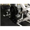 Image 2 : INCLINE LEG PRESS 580LB WEIGHTS