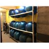 Image 2 : 12 YOGA BALLS AND RACK
