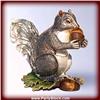 Image 1 : GRAY SQUIRREL 24K GOLD SWAROVSKI CRYSTAL JEWELRY