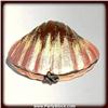 Image 1 : GOLD PINK SEASHELL SWAROVSKI CRYSTAL BOX JEWELRY