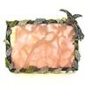 Image 1 : NEW BIRD PHOTO FRAME GOLD SWAROVSKI CRYSTALS