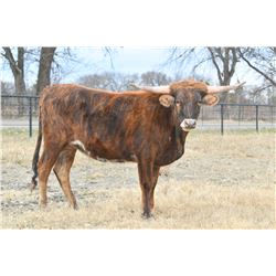 HELM BITTERSWEET 953