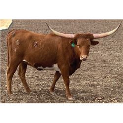 TBILL'S TEMPTING CALL