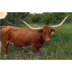 ECR SPECIAL TREASURE