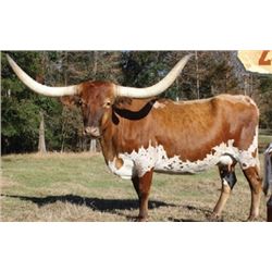 RIVER FORK WHATA BEAUTY