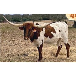 RUNNING CATCHIT SH 6/7