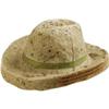 Image 1 : Macerated Currency Hat. This is a very nice approximate