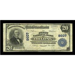 Oblong, IL - $20 1902 Plain Back Fr. 652 The First NB C