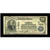 Image 1 : Meridian, MS - $20 1902 Plain Back Fr. 650 The Citizens