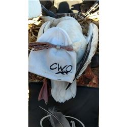 Missouri Goose Hunt for 4