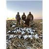 Image 2 : Missouri Goose Hunt for 4