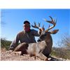 Image 1 : Mexico Coues Deer Hunt