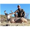Image 3 : Mexico Coues Deer Hunt