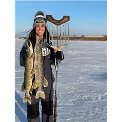 North Dakota Spearfishing for Pike