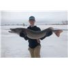 Image 3 : North Dakota Spearfishing for Pike