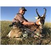 Image 3 : 4-Day Trophy Archery Antelope Hunt in Wyoming, AND Bonus Youth Hunt Paid for by Iowa FNAWS