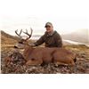 Image 2 : Kodiak Island Sitka Deer hunt for 4